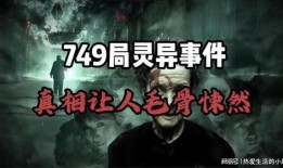 749局爆料视频,独家爆料视频深度解析